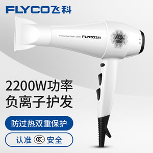 飞科FLYCO发廊专业电吹风机FH6106大功率吹风筒负离子冷热风2200W