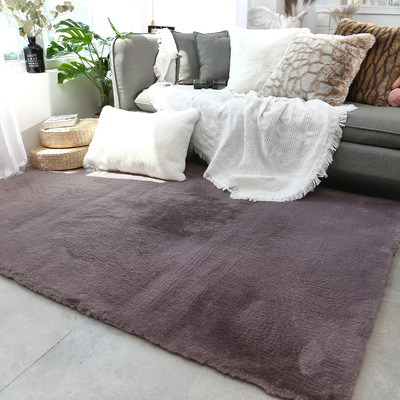 地毯客厅北欧ins房间床边毯仿兔毛绒涤棉底加厚地垫门厅地毯：紫灰色仿兔毛涤棉底